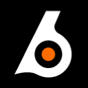 Birdeye logo